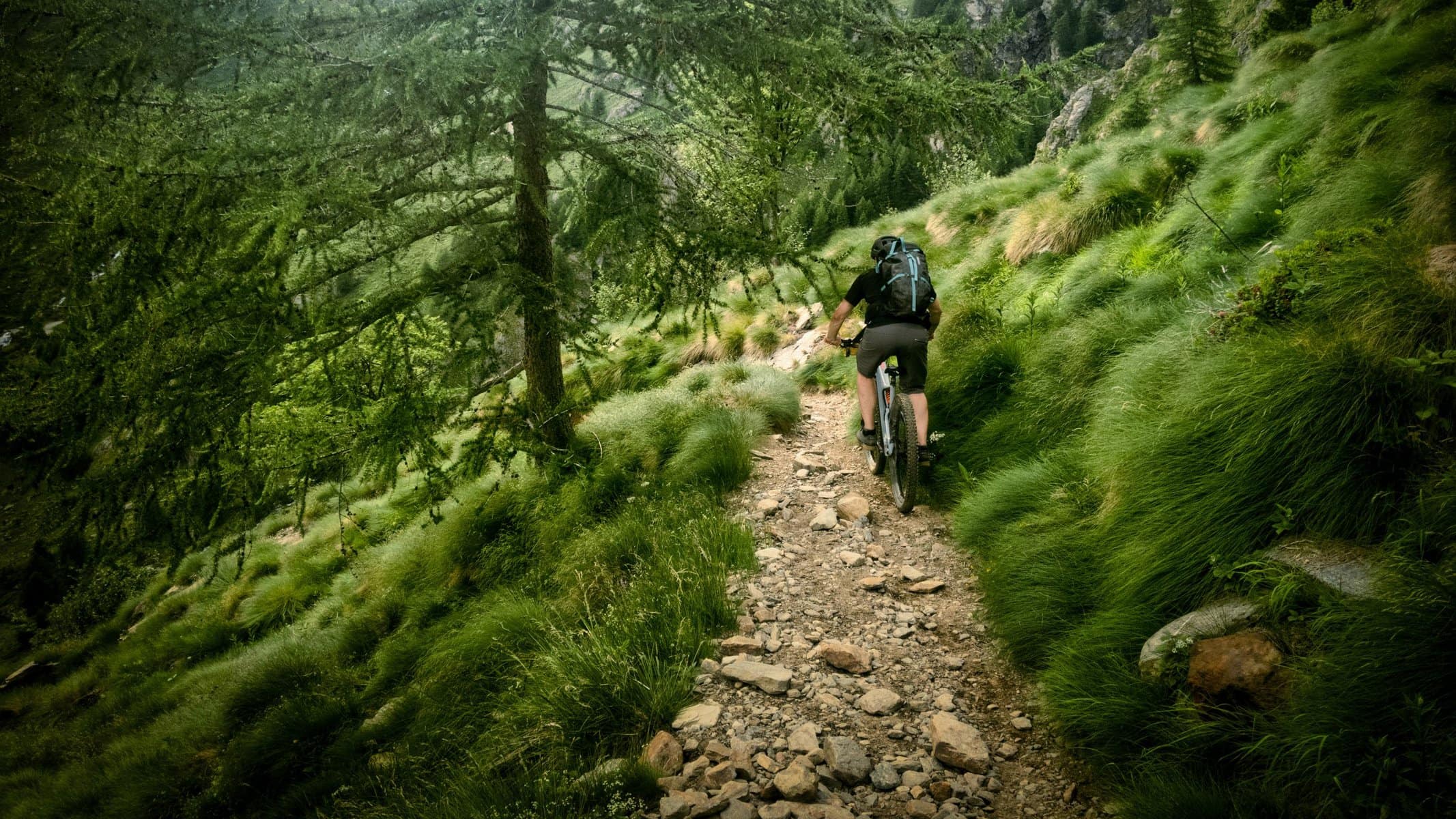 Gallo MTB Trail vom Gavia Pass nach Pezzo