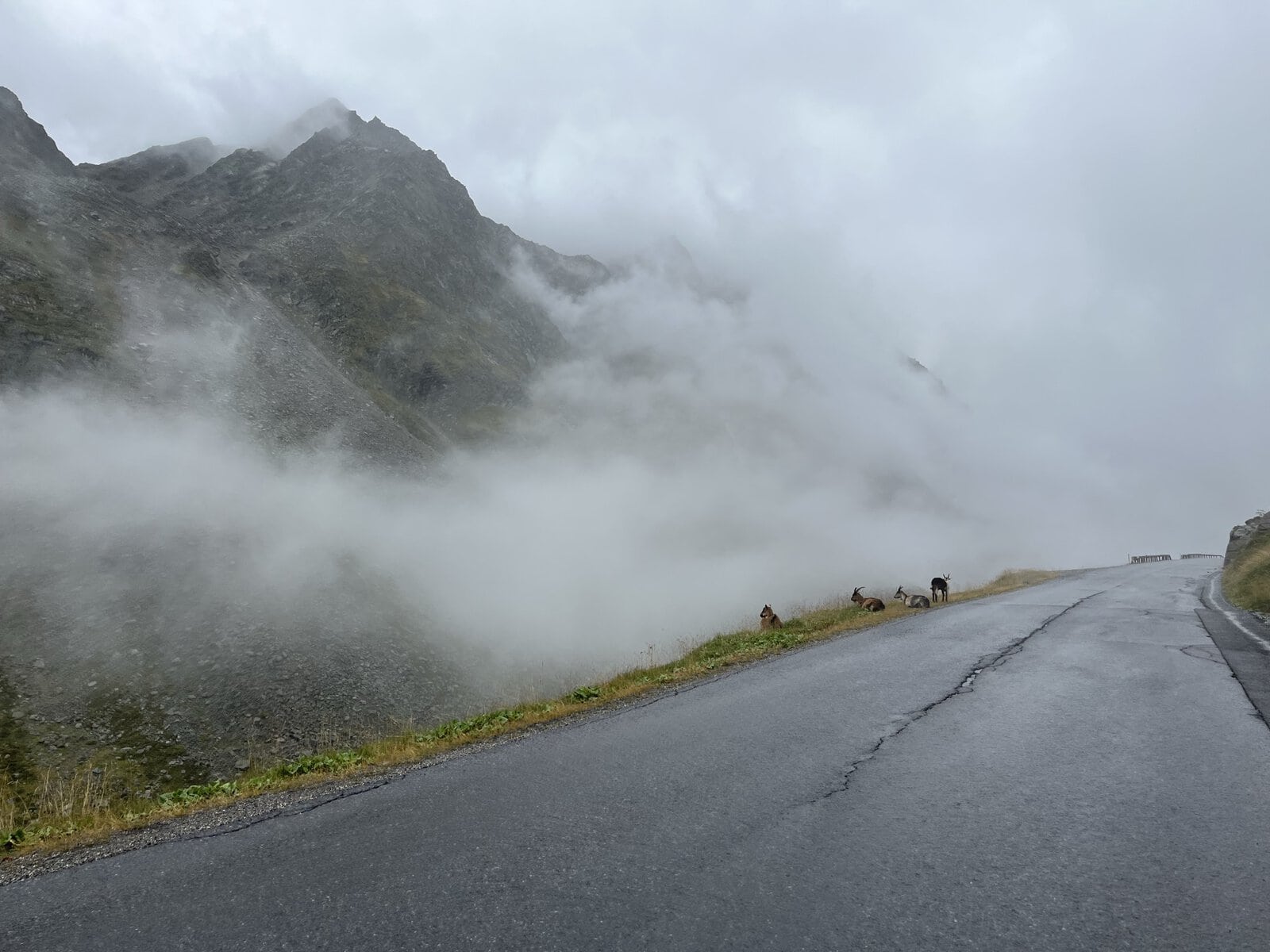 Gaviapass MTB Transalp Uphill Gaviapass