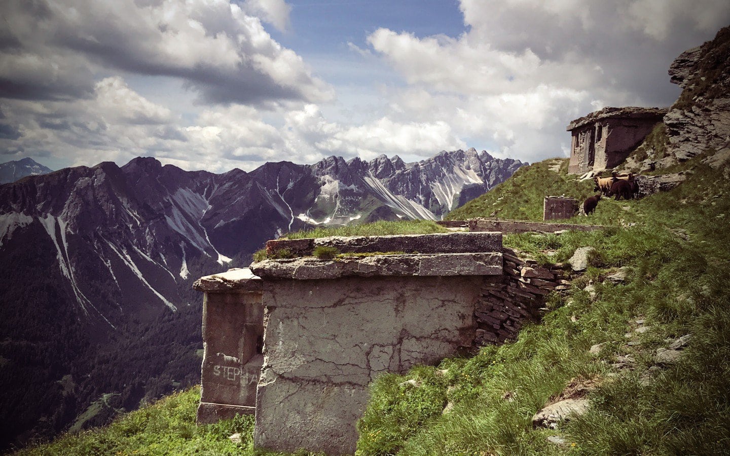 MTB Touren & Alpenüberquerung am Brenner Grenzkamm