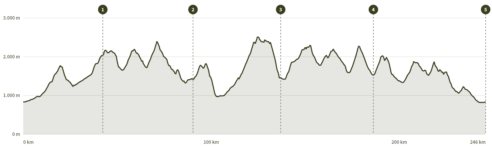 Höhenprofil Bruneck → Bruneck